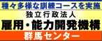 �ٗp�E�\�͊J���@�\