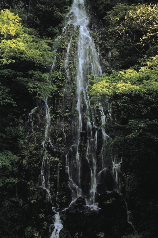 「新緑の滝」細田 安伊子(高崎市)