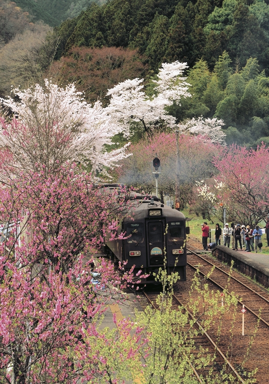 「春を走る」若山 昭子(高崎市)