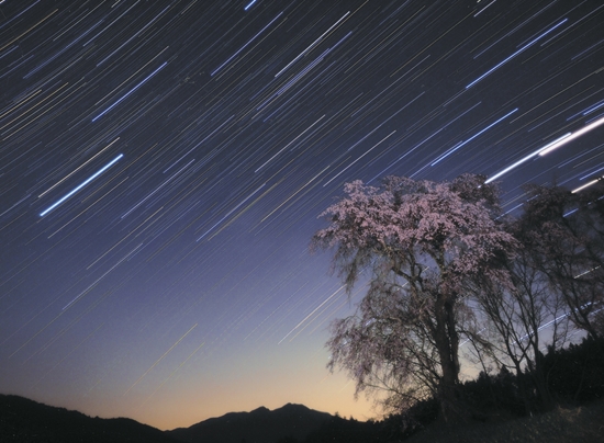 「星空に咲く」佐々木 勲(高崎市)